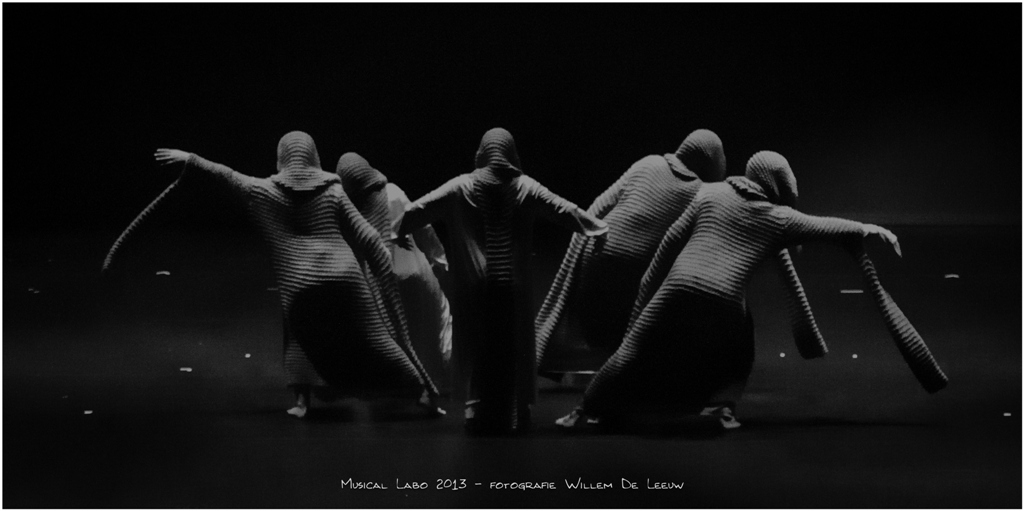 2013-musical-labo_willemdeleeuw-31
