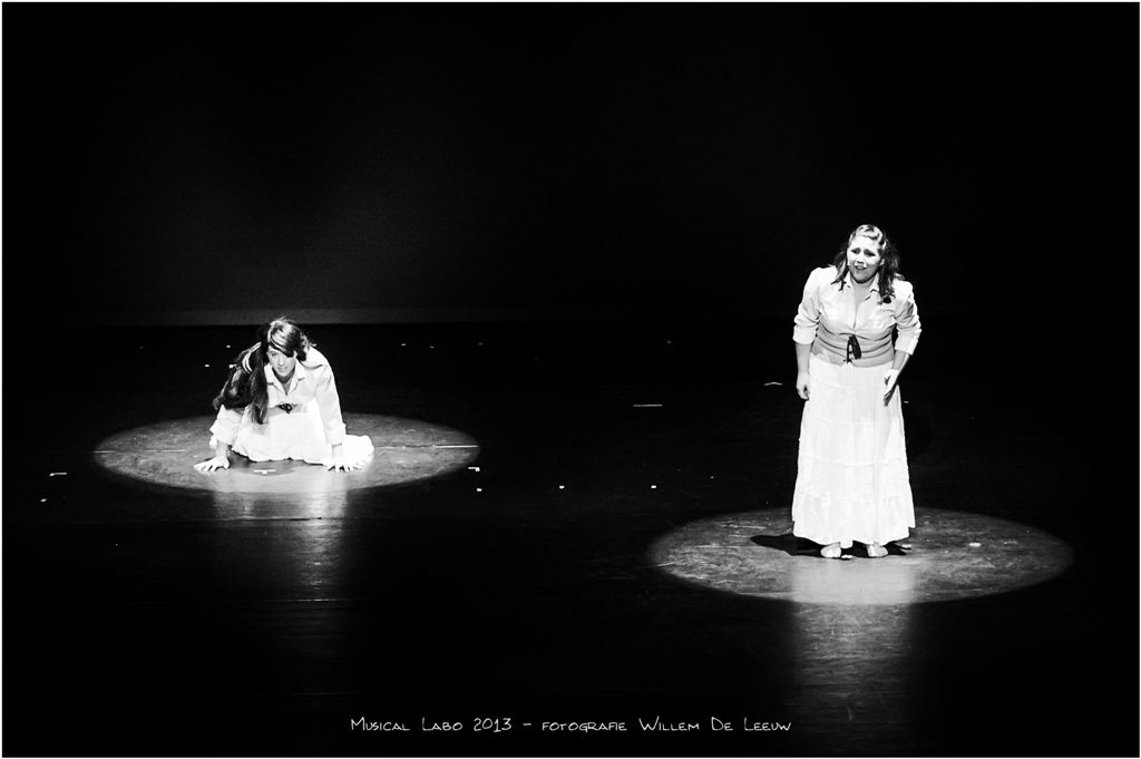 2013-musical-labo_willemdeleeuw-35